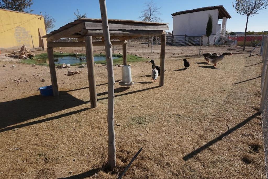 Finca La Caprichosa De Dancos Lillo Buitenkant foto